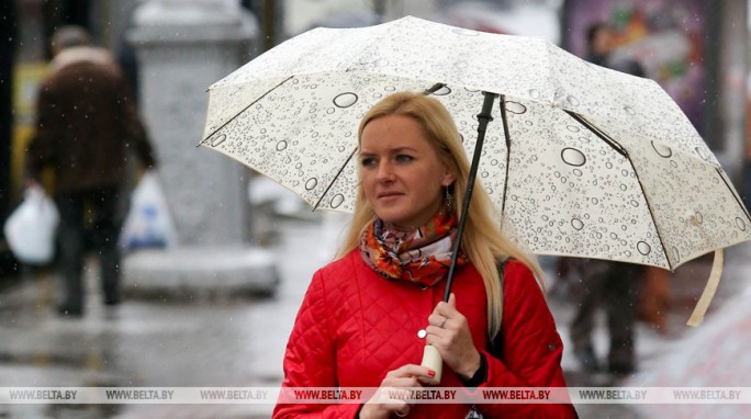 Дождь и мокрый снег ожидаются в Беларуси 26 декабря