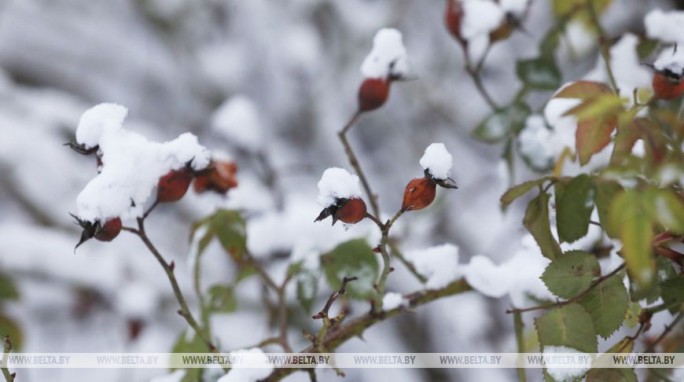 Заморозки и мокрый снег ожидаются в Беларуси в последние дни 2019 года