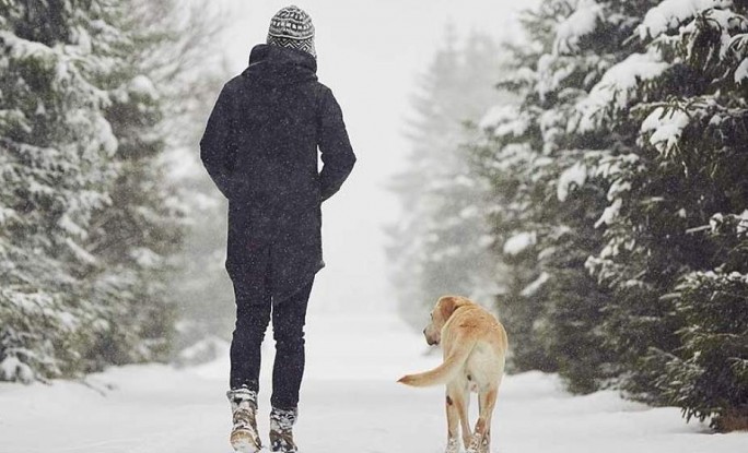 Пешие прогулки по 20 минут в любую погоду уменьшают риск опухолей