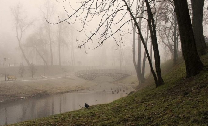 Осторожно «желтый»! В Беларуси 20 января ожидается туман