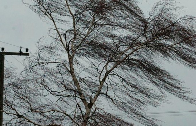 Штормовое предупреждение объявлено на 22 января: порывы ветра достигнут 20 м/с