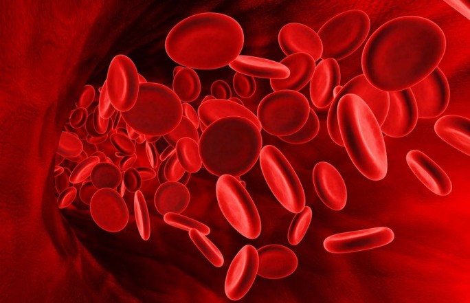 Названа группа крови, обладатели которой рискуют больше других получить инфаркт
