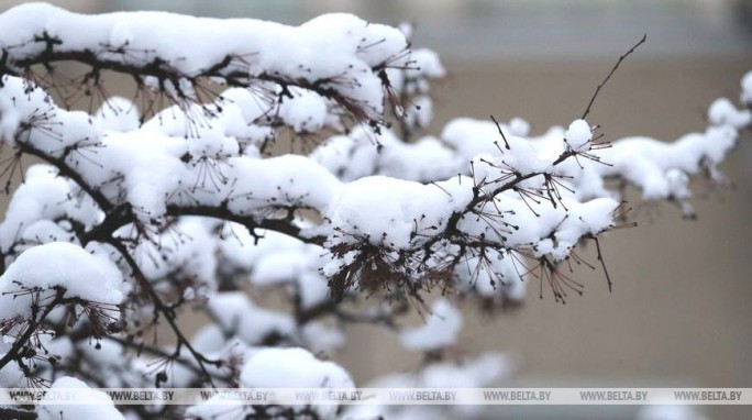 Снег и до -13°С ожидается в Беларуси 8 февраля
