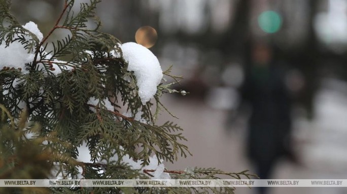 Дождь с мокрым снегом и сильный ветер ожидаются в Беларуси 11 февраля