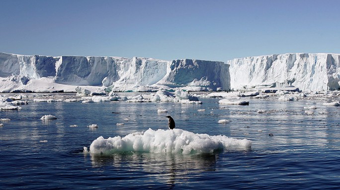 Температура в Антарктике впервые поднялась выше 20 градусов