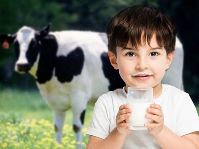 Молочные продукты помогают в борьбе с коронавирусом