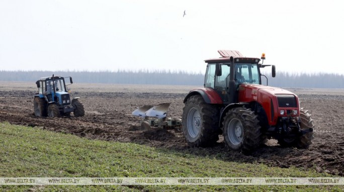 Ранние яровые посеяли в Беларуси почти на половине площадей