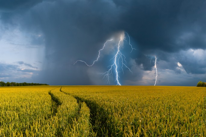 Кратковременные дожди и грозы ожидаются в Беларуси 21 июля