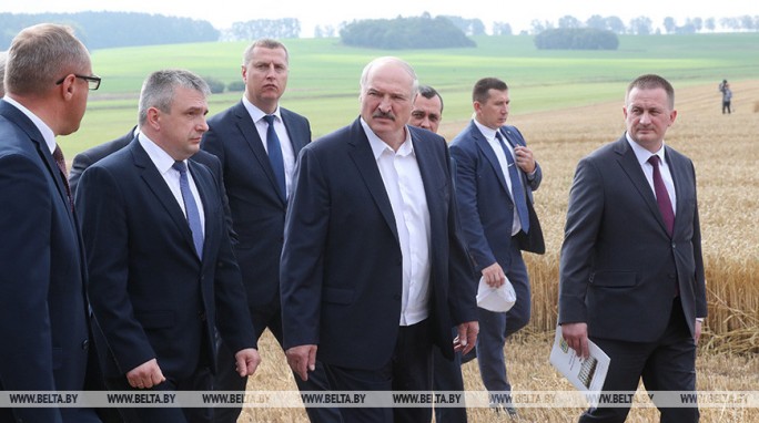 Александр Лукашенко о видах на урожай: 9,5 млн т зерна - минимум, который должны взять в этом году