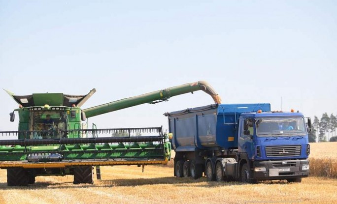 Уборочная-2020: рекордный урожай в Беларуси и перспективы нашего продовольственного экспорта