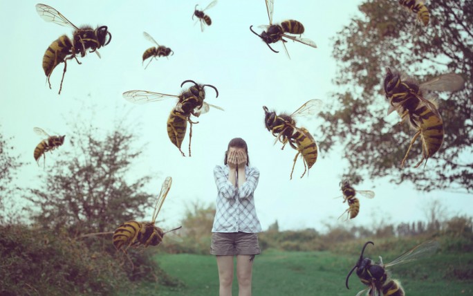 Жалящие «соседи». Специалисты Мостовского РОЧС рассказывают, как вести себя при встрече с насекомыми