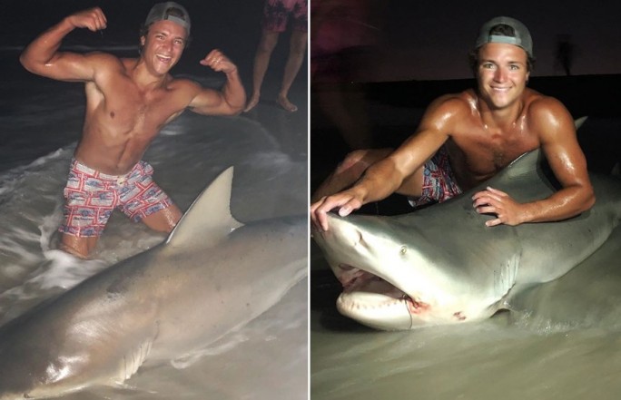 Студент поймал 180-килограммовую акулу