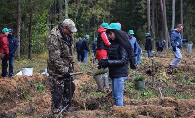 Высадили более 10 000 молодых деревьев. Сотрудники Комитета госконтроля Гродненской области присоединились к акции «Чистый лес»