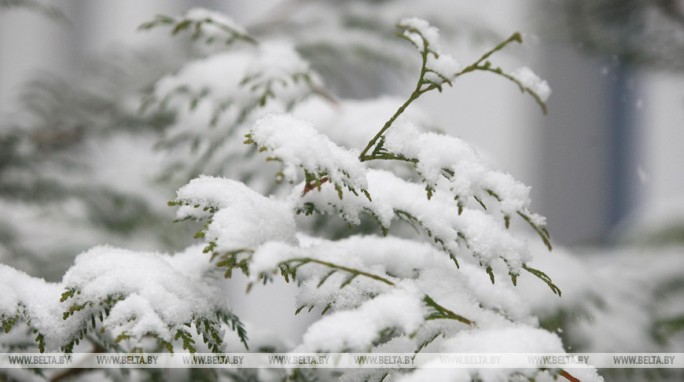 Снег и до -9°С ожидается в Беларуси 2 декабря
