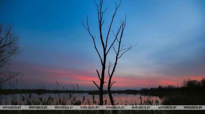 Апрель в Беларуси в этом году ожидается теплее обычного