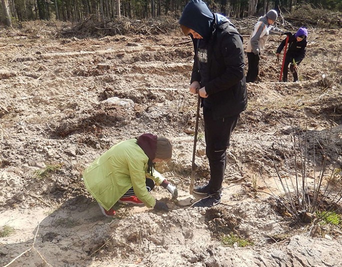 Валанцёры Азёркаўскай сярэдняй школы далучыліся да акцыі “Тыдзень лесу”