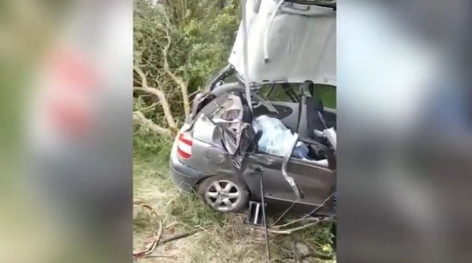 Под Мостами автомобиль врезался в дерево: погибли две девочки