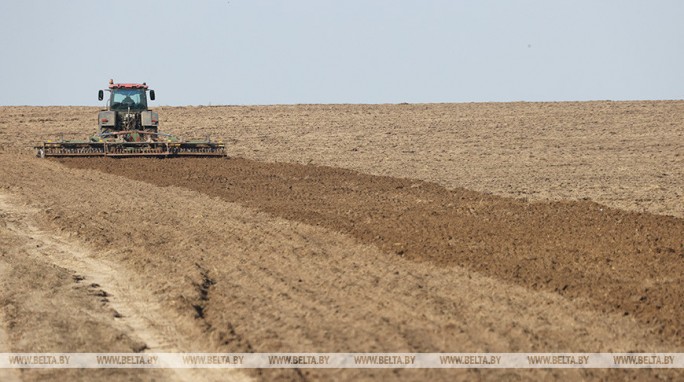 Сев озимых зерновых начался в Беларуси