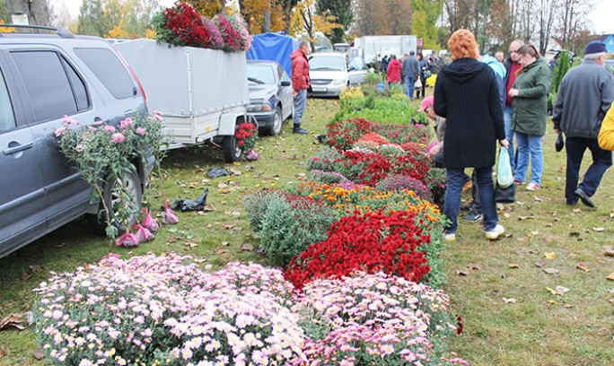 9 октября в Мостах состоится ярмарка-продажа сельскохозяйственной продукции