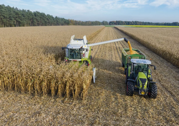 Гродненская область лидирует в республике по урожайности зерна кукурузы
