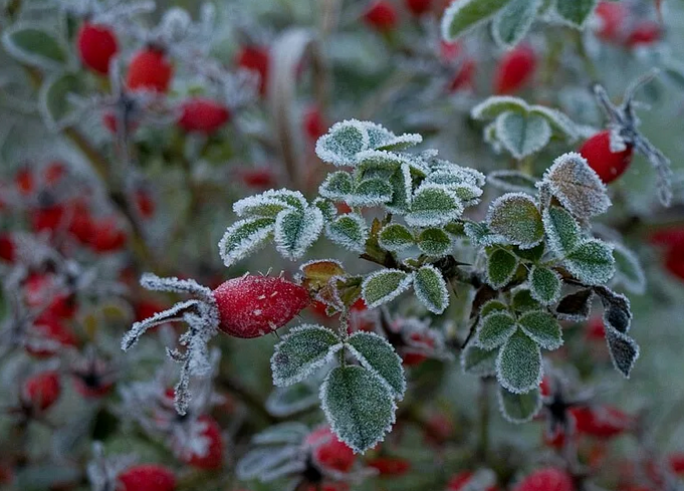 Ночные заморозки и преимущественно без осадков ожидается в Беларуси 19 октября