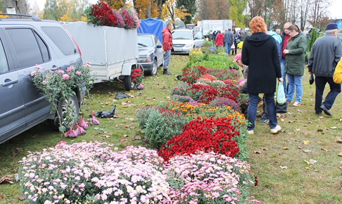 23 октября в Мостах состоится ярмарка-продажа сельскохозяйственной продукции