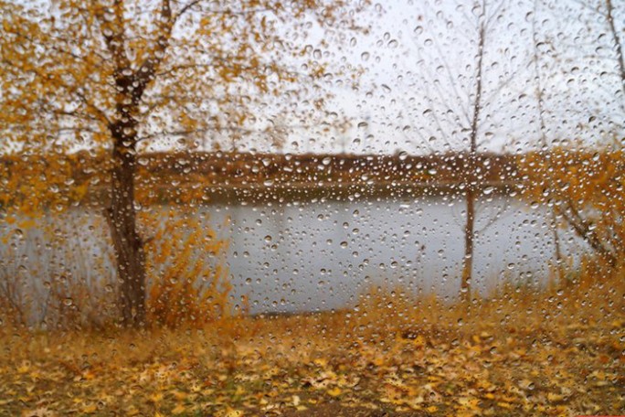 Дожди и порывистый ветер ожидаются в Беларуси 23 октября