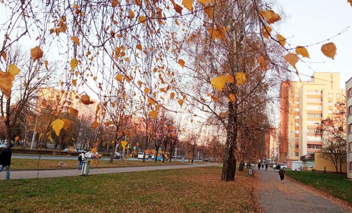 Потеплеет? Какой будет погода в ноябре в Беларуси