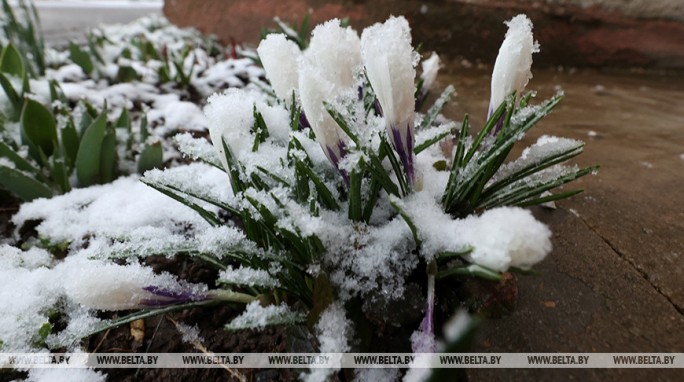 Снег и гололедица ожидаются в Беларуси 23 ноября