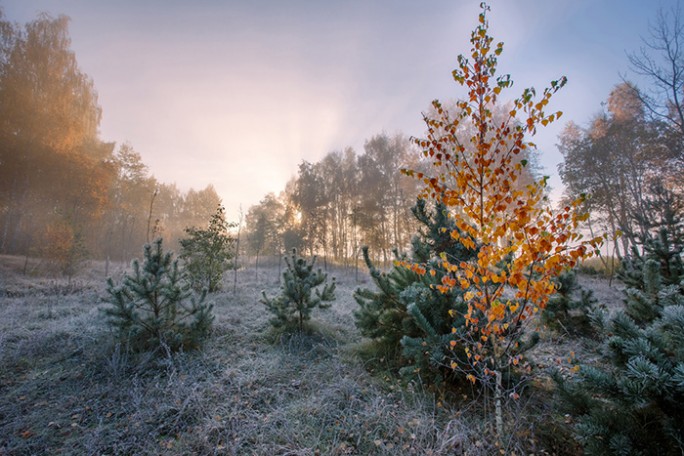Оранжевый уровень опасности объявлен по северо-западу Беларуси 27 ноября из-за снега