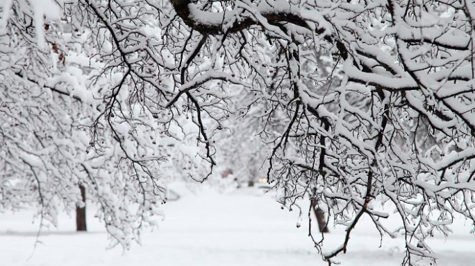 Рябов: декабрь в этом году ожидается теплее обычного