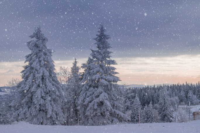 В Якутии в первый день зимы зафиксировали 53 градуса мороза