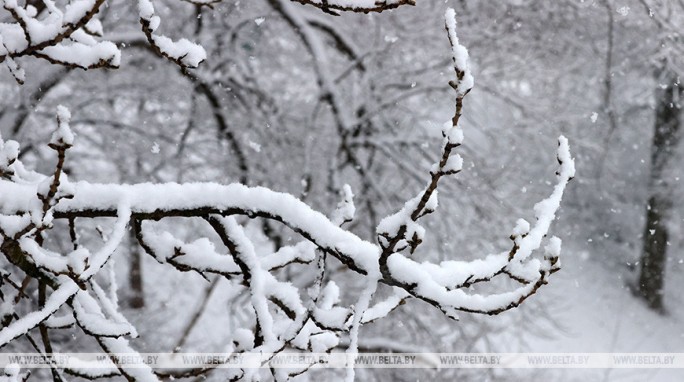 Снег и гололедица ожидаются в Беларуси 7 декабря