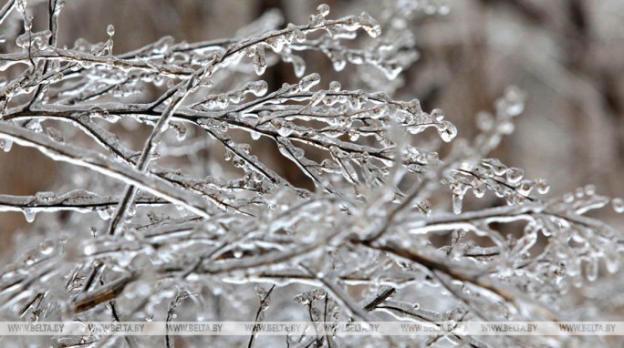 Дожди с мокрым снегом ожидаются в Беларуси 11 декабря