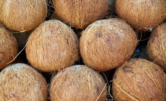 Чем полезна мякоть кокоса и кокосовое молоко? Разбираемся со специалистом