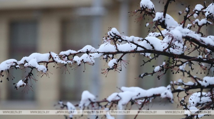 Дождь с мокрым снегом и гололедица ожидаются в Беларуси 17 декабря