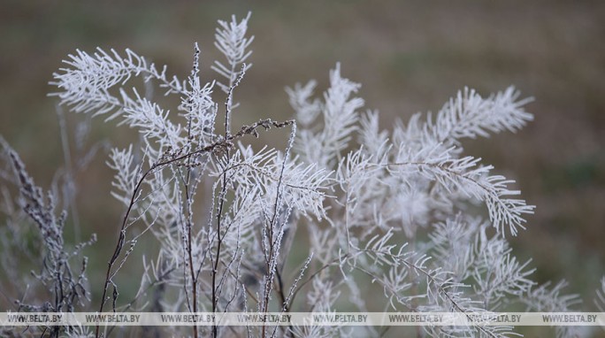 Небольшой снег и до -18°С ожидается в Беларуси 21 декабря