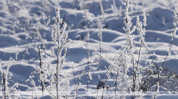 Снег и до -14°С ожидается в Беларуси 25 декабря
