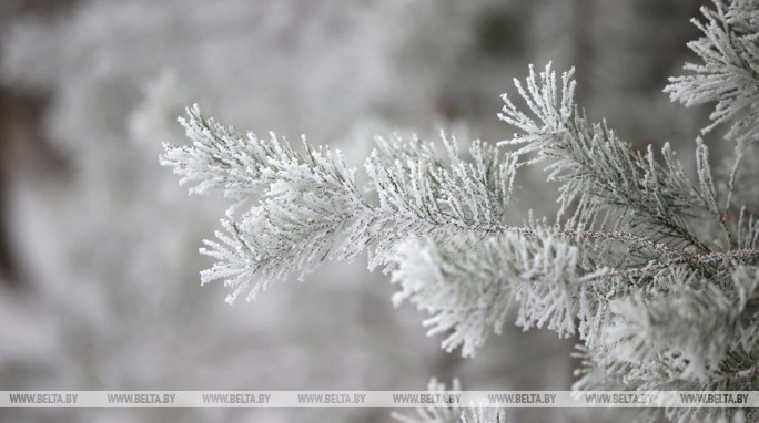 До -17°С ожидается в Беларуси 29 декабря