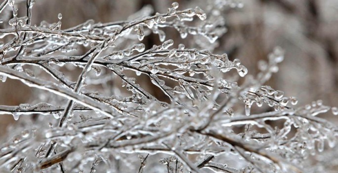 Гололедица, туман и снег: в Беларуси 2 января объявлен оранжевый уровень опасности