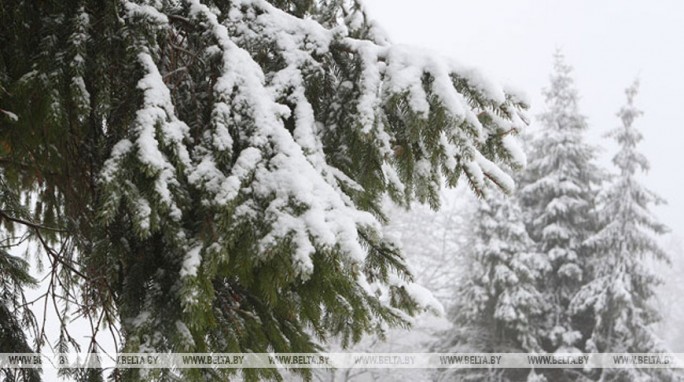 Небольшой снег и гололедица ожидаются в Беларуси 8 января