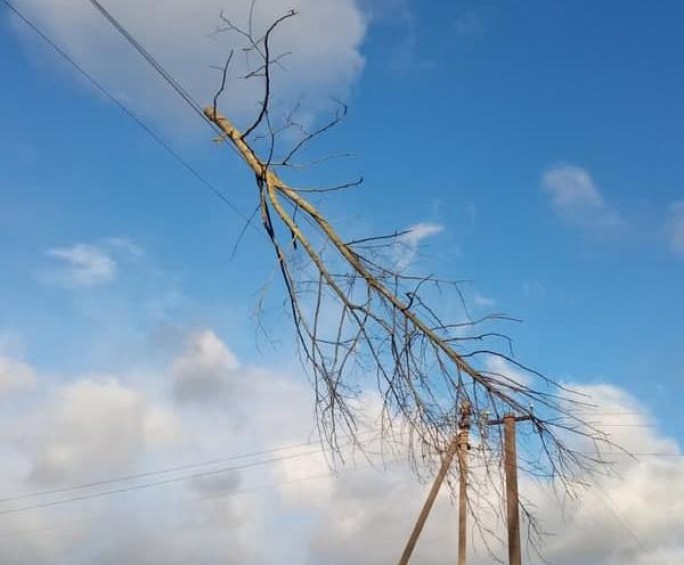 Энергетики Гродненщины продолжают восстанавливать электроснабжение населённых пунктов, нарушенное из-за шквалистого ветра