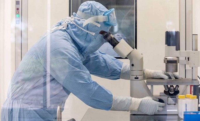 Стало известно, у кого вырабатывается больше антител к коронавирусу – у мужчин или у женщин