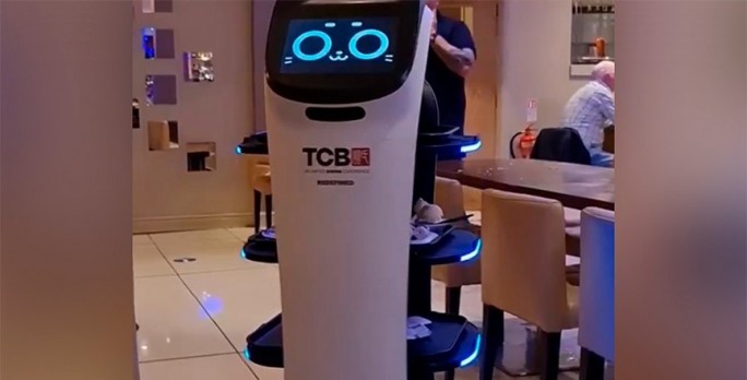 В Великобритании сеть ресторанов заменила официантов на роботов-котов