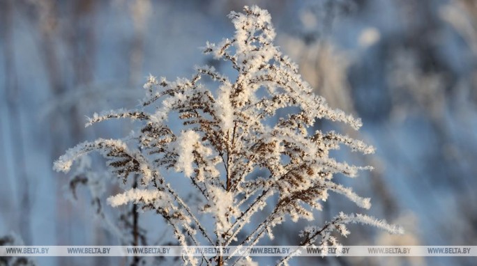 Сильный ветер и гололедица ожидаются в Беларуси 31 января
