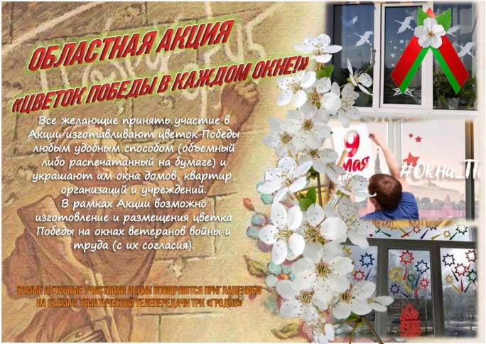 На Мостовщине со 2 по 13 мая пройдёт областная акция «Цветок Победы в каждом окне». Как стать её участником?