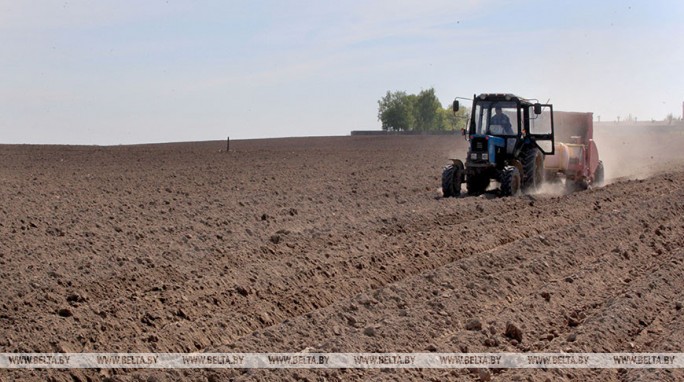 Белорусские аграрии приступили к посадке картофеля