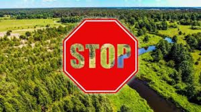 В Мостовском районе введён запрет на посещение лесов