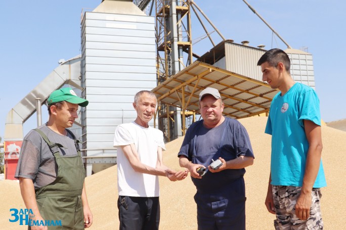 В ЗАО «Гудевичи» намолотили и просушили самое большое количество зерна в районе – свыше 14 тысяч тонн
