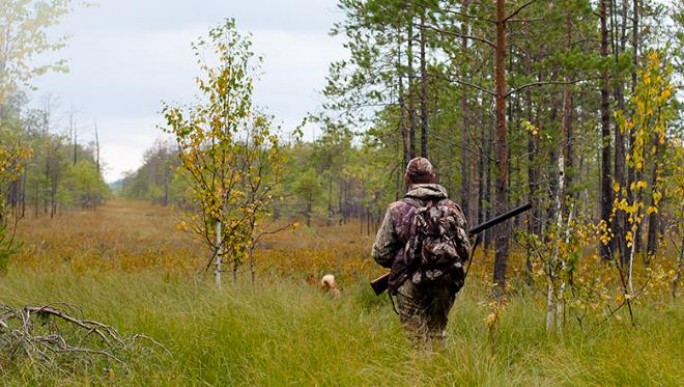 На заметку охотникам Мостовщины: с 1 октября открывается загонная охота на копытных животных